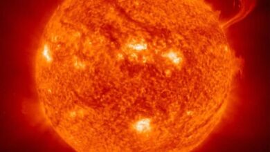 ESA Solar Orbiter capturing solar flare and magnetic avalanche JK News